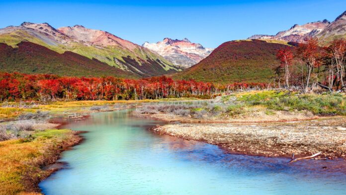 Turismo-naturaleza-bosque-lenga-patagonia-Argentina--scaled