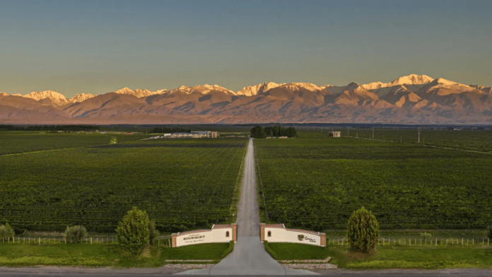 domaine-bousquet-0jpg