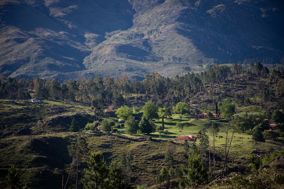 Camping pet friendly en las Sierras de Córdoba: dónde llevar a tu perro sin culpa