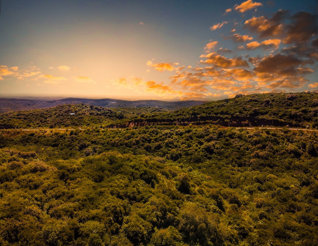 Sandboard en Cerro Blanco: la aventura sobre arena que Córdoba te estaba escondiendo