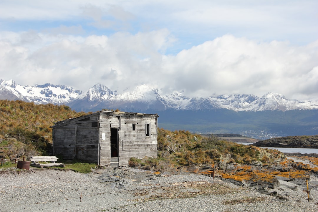 Un viaje de 250 millones de años te espera en el Museo de La Plata