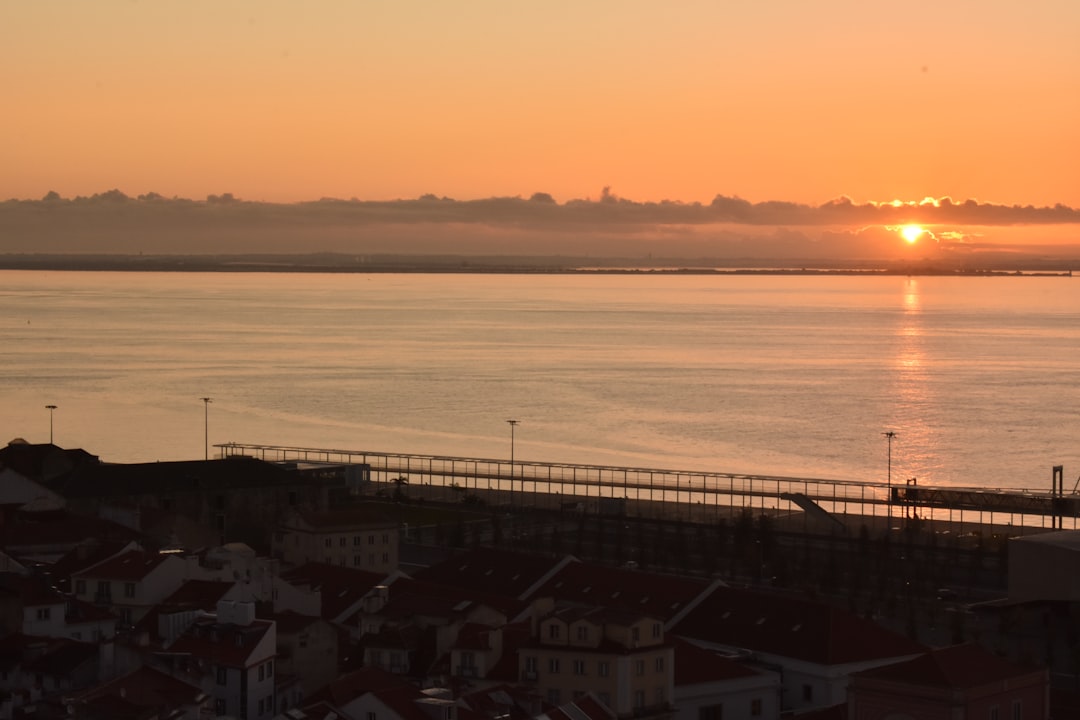 Lisboa te va a robar el corazón: los restaurantes que todo argentino debe probar en la capital portuguesa