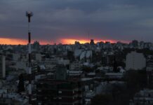 Buenos Aires pet friendly: estos hoteles de Puerto Madero reciben a tu perro como VIP