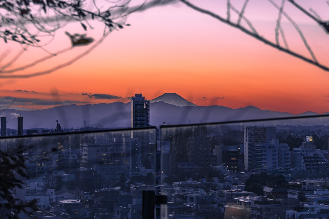 Crystal Bar en Puerto Madero: el rooftop donde Buenos Aires brilla como nunca