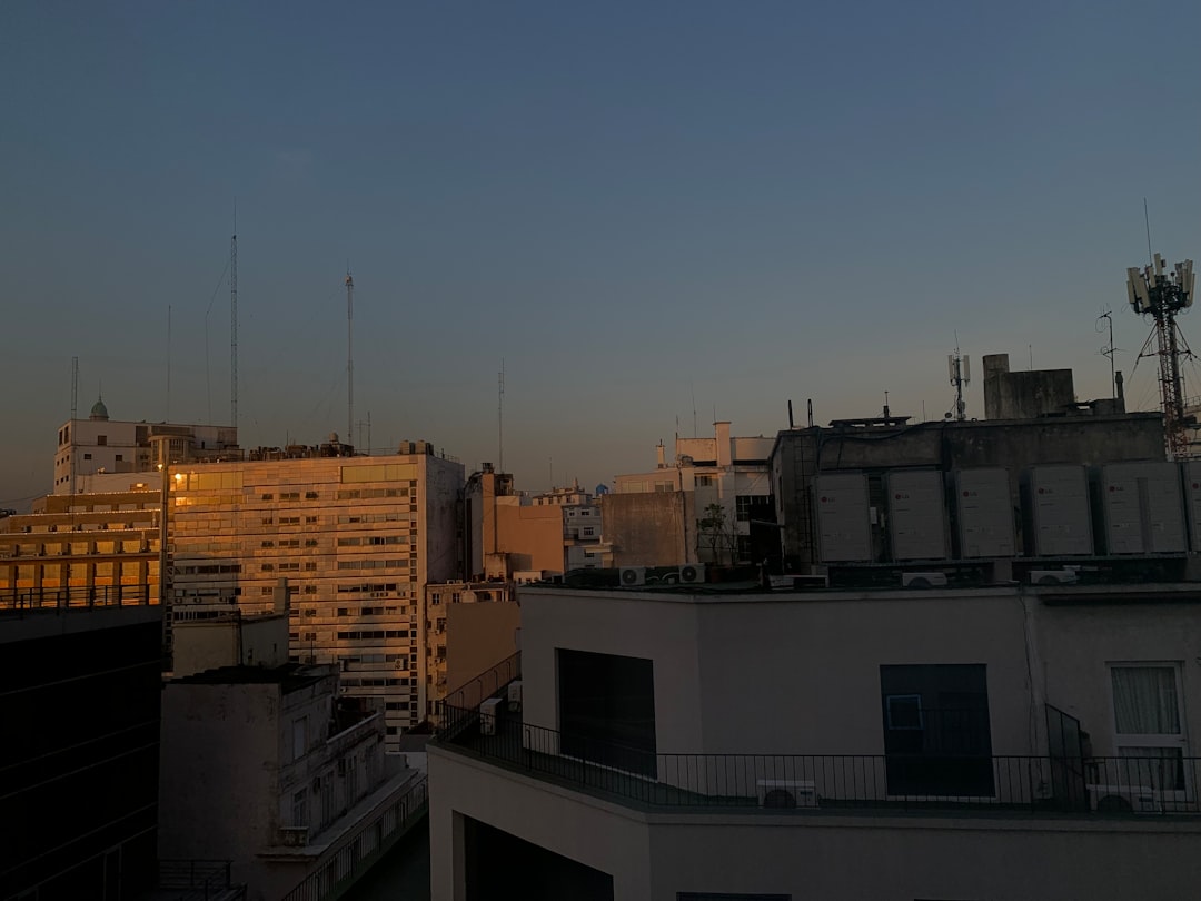 Viajá con tu perro a Buenos Aires: los hoteles que te abren las puertas (y el corazón)