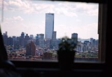 Nueva York con tu perro: los hoteles donde tu compañero peludo es estrella