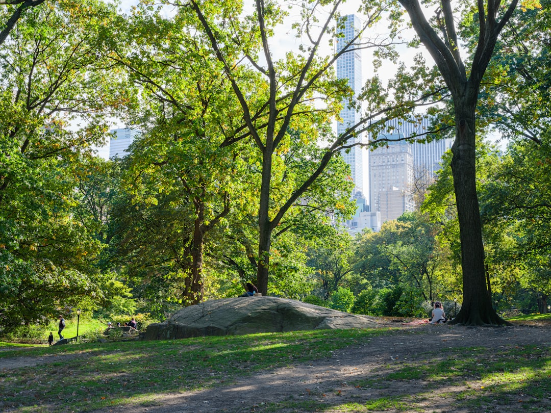 Nueva York con tu perro: los hoteles donde tu compañero peludo es estrella