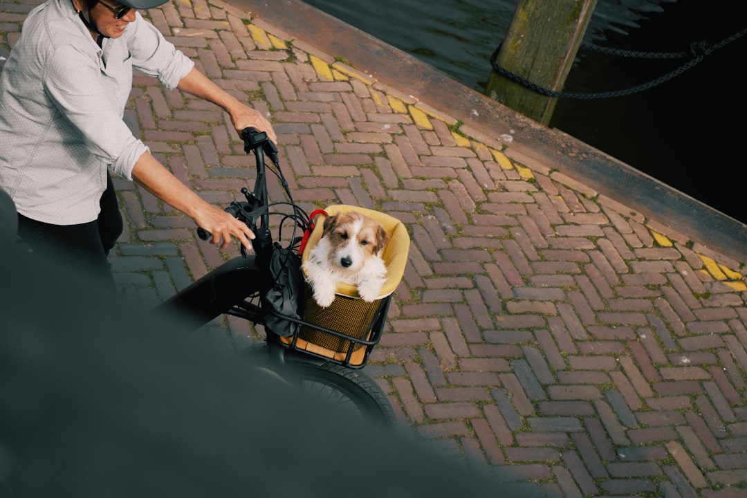 Ámsterdam con tu perro: la ciudad donde viajar con tu compañero peludo es un lujo, no una complicación