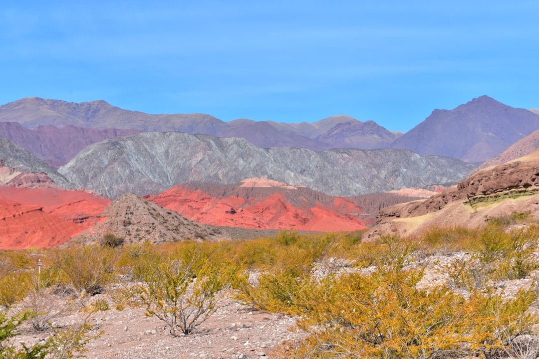 Valles Calchaquíes: el viaje que te va a cambiar la perspectiva del noroeste argentino