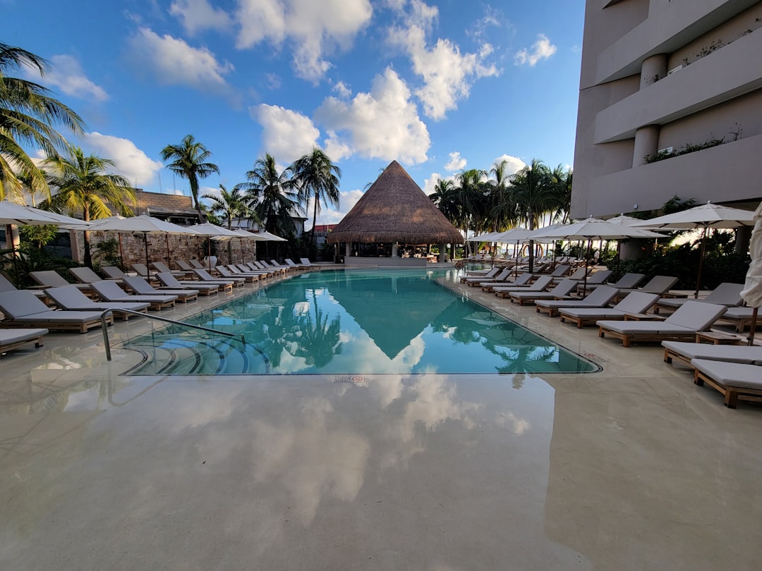 Cancún con tu perro: los hoteles donde vos y tu compañero peludo van a disfrutar juntos