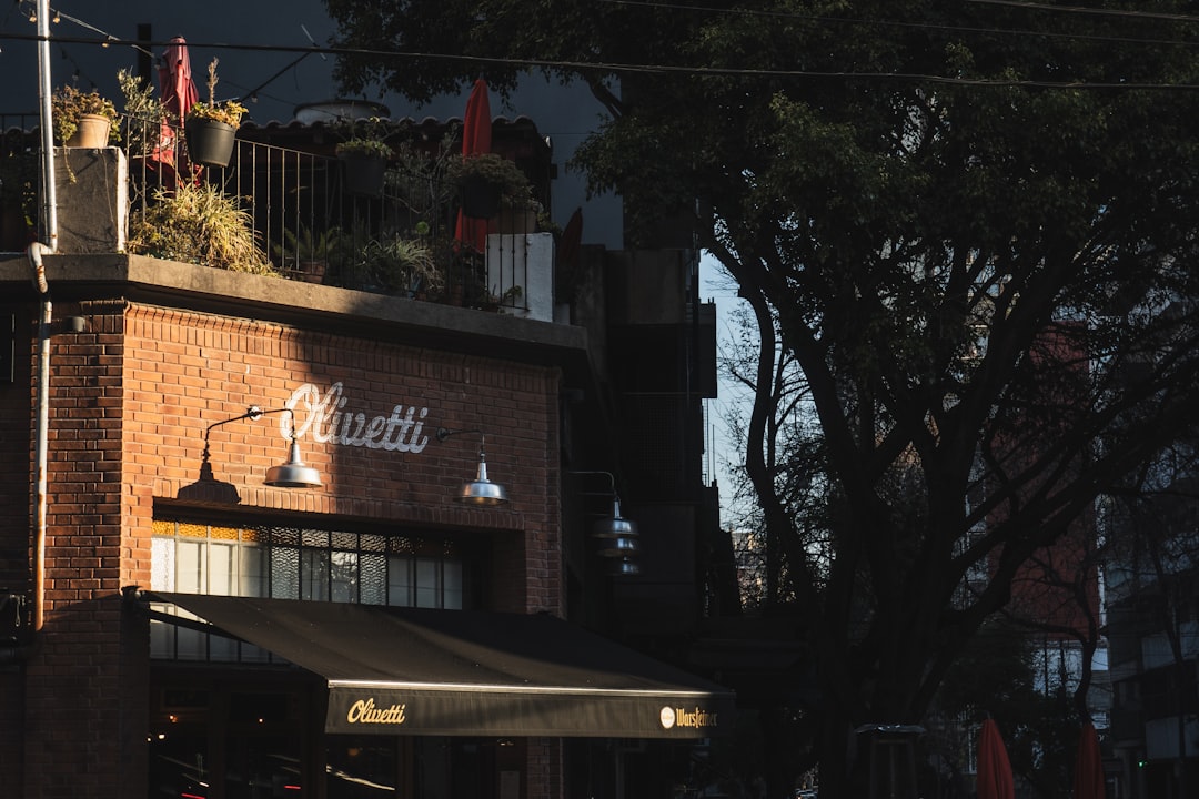 Viajar a Buenos Aires con tu perro: los barrios más pet friendly de la ciudad