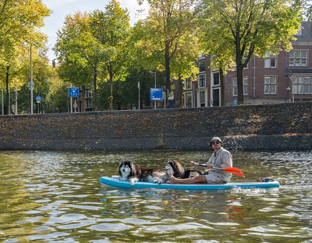 Ámsterdam con tu perro: la ciudad donde viajar con tu compañero peludo es un lujo, no una complicación