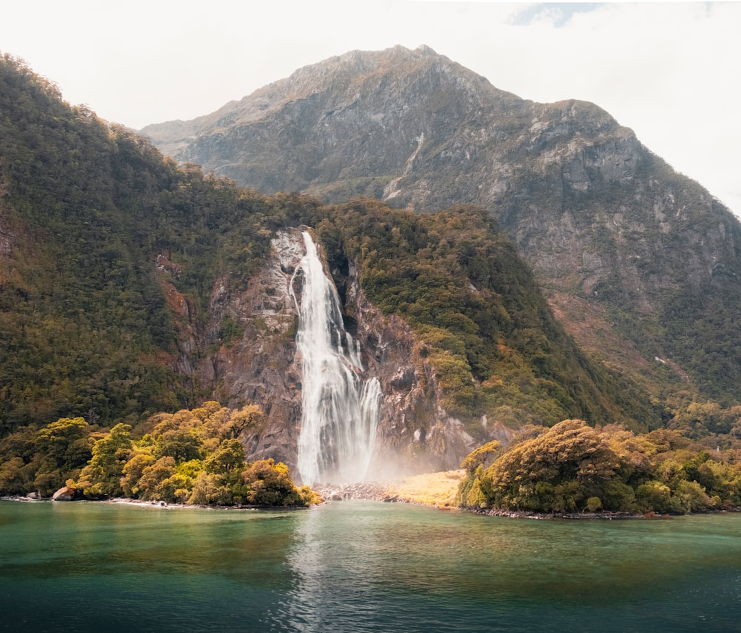 Kayak en Milford Sound: la aventura que te va a cambiar la perspectiva de Nueva Zelanda