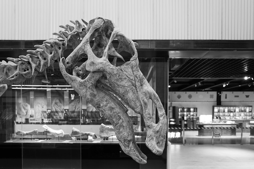 La Plata tiene 21 museos y vos todavía no visitaste el más sorprendente de todos