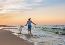 Pinamar con tu perro: la playa donde tu compañero peludo es la estrella del verano