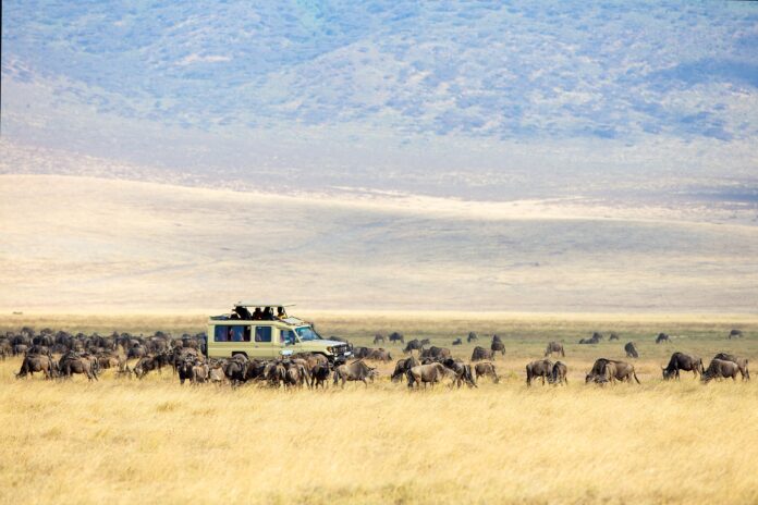 web-aventuraafrica-safari-kenia-banner