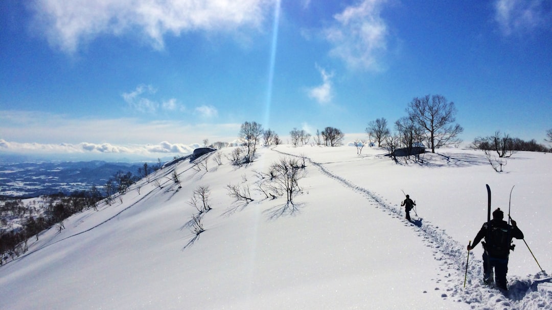 Niseko: por qué este pueblo japonés se convirtió en la meca del snowboard mundial