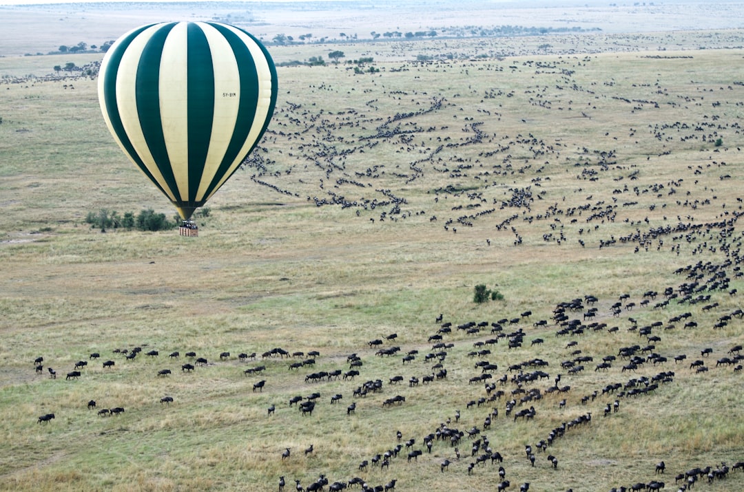 Sobrevolá Kenia en globo aerostático: la aventura africana que te va a cambiar la vida