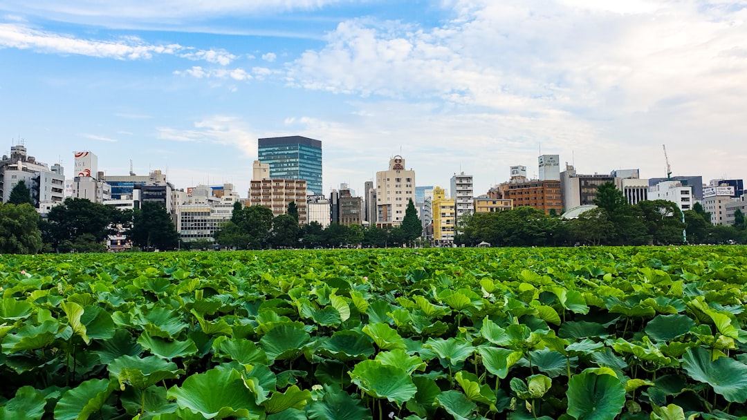 Tokio tiene más de 30 museos de arte y cultura: cuáles no te podés perder