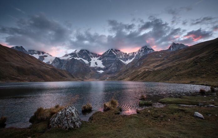 photo-1570553604184-0f4142abd9c1