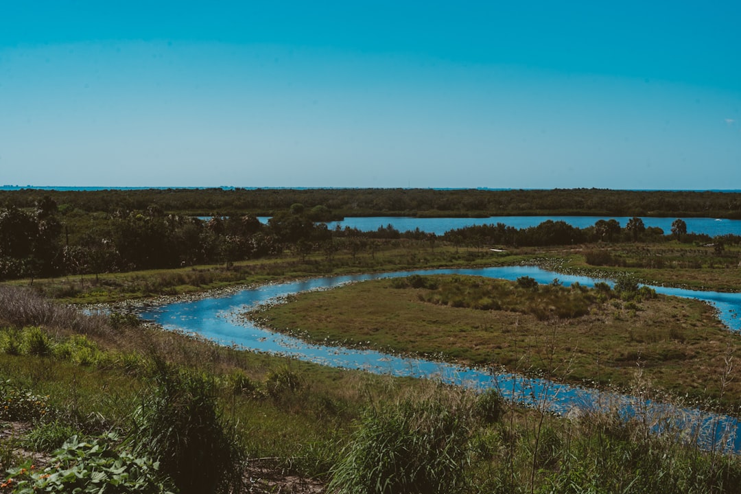 Kayak en el Delta del Tigre: la escapada salvaje que tenés a 40 minutos de Buenos Aires