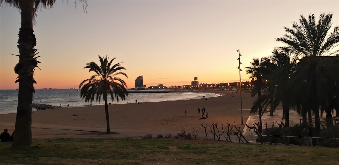 Barcelona te sorprenderá: la ciudad donde viajar con tu perro es casi mejor que sin él