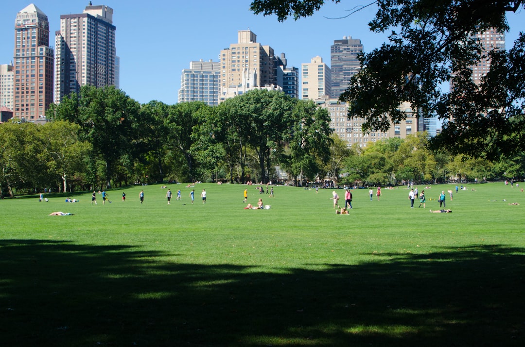 Nueva York con tu perro: la ciudad que te recibe con cuencos de agua en cada esquina