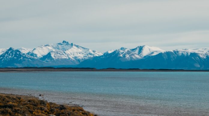 Puerto Madryn: donde los mariscos frescos te llevan directo al mar de Patagonia