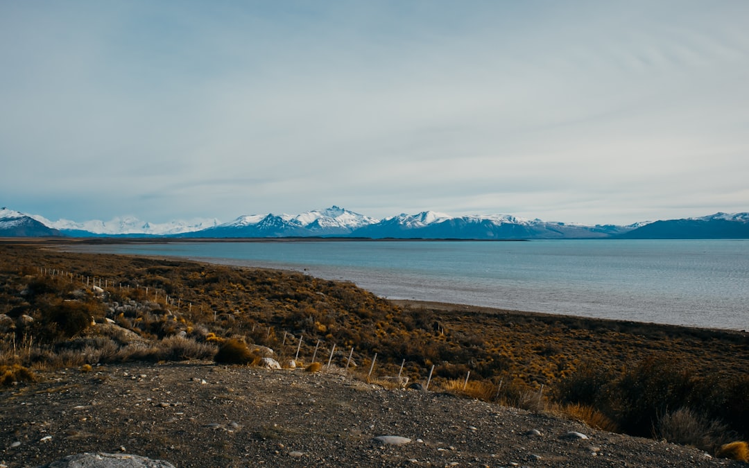 Puerto Madryn: donde los mariscos frescos te llevan directo al mar de Patagonia