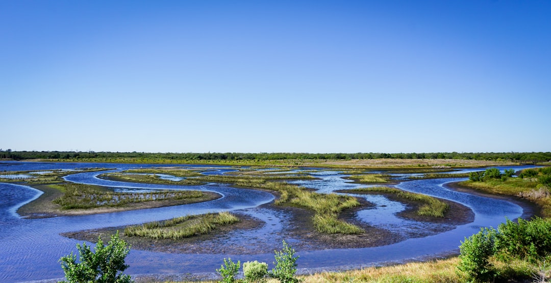 Kayak en el Delta del Tigre: la escapada salvaje que tenés a 40 minutos de Buenos Aires