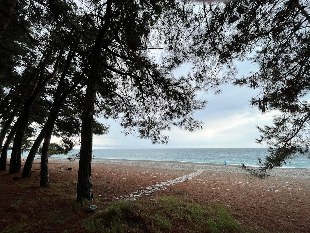 Pinamar en otoño: la escapada de playa que todos los porteños necesitan antes de que termine el año