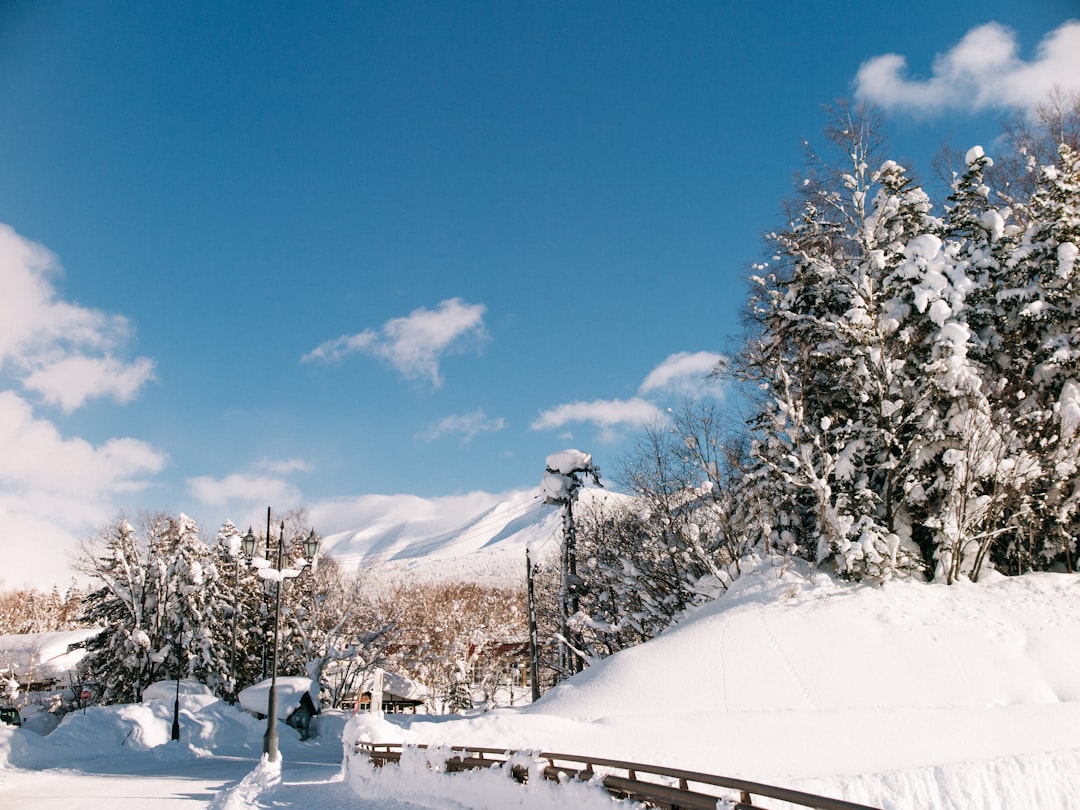 Furano es el secreto de Hokkaido que Niseko ya no guarda: esquí sin multitudes en Japón