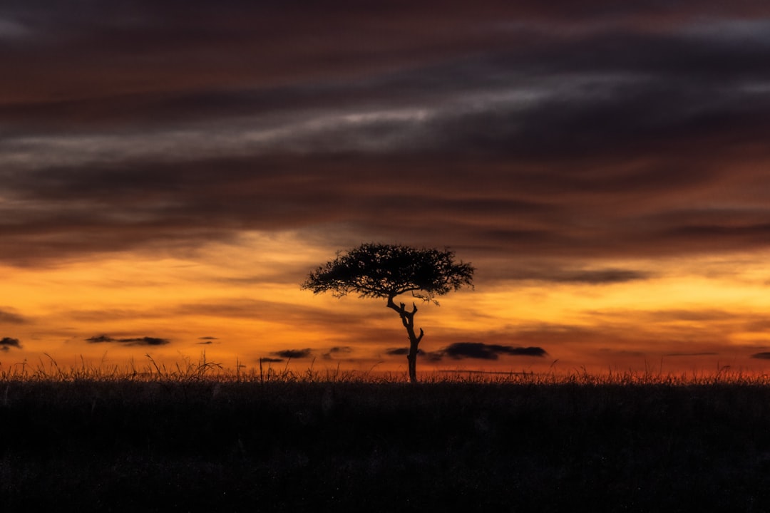 Por qué un safari en globo sobre Kenia es la aventura africana que necesitás vivir