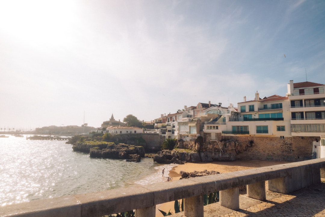 Las mejores playas para viajar con tu perro en Portugal: guía completa por zonas