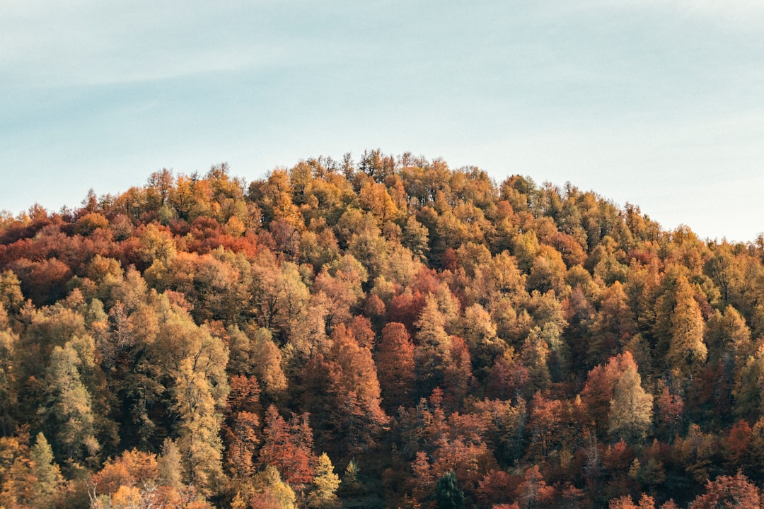 San Martín de los Andes: el pueblo patagónico que te va a enamorar en otoño