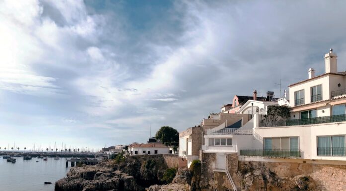 Las mejores playas para viajar con tu perro en Portugal: guía completa por zonas