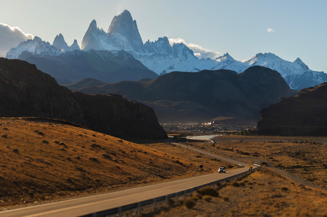 Viajar con tu gato a la Patagonia: la guía que necesitás antes de partir