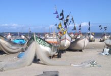 El Río Paraná te espera: la pesca deportiva que Entre Ríos guarda como su secreto mejor guardado