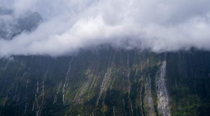 Remá en kayak por Milford Sound: la aventura que te cambia la vida en Nueva Zelanda