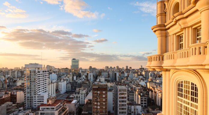 Viajar con tu perro a Buenos Aires: los mejores hoteles donde te reciben sin drama