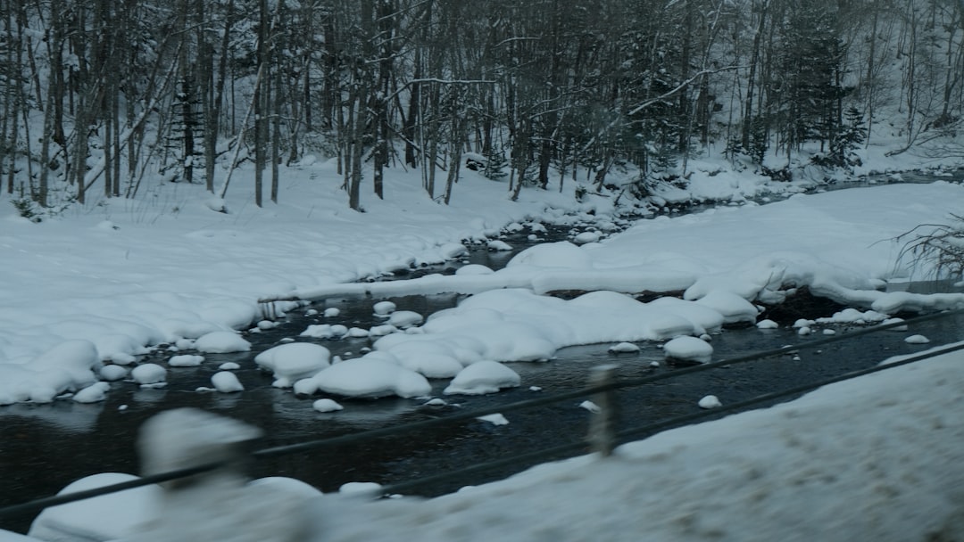 Furano es el secreto de Hokkaido que Niseko ya no guarda: esquí sin multitudes en Japón