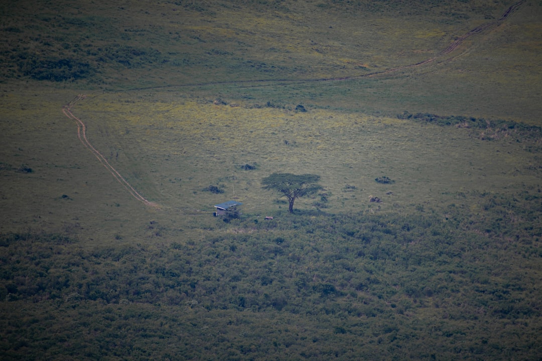 Por qué un safari en globo sobre Kenia es la aventura africana que necesitás vivir
