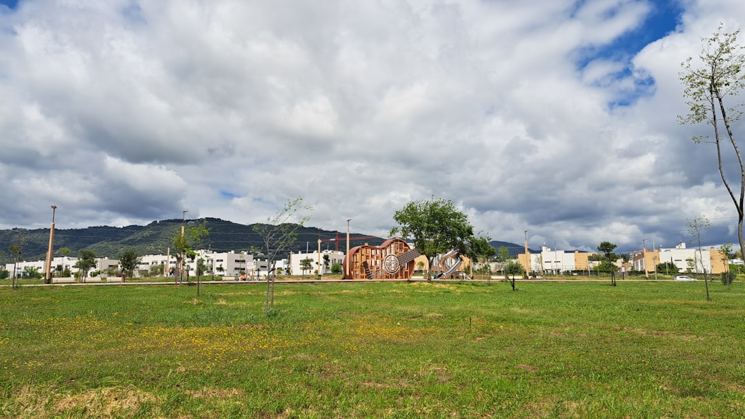 Las Sierras de Córdoba sin culpa: el camping donde tu perro es el verdadero VIP