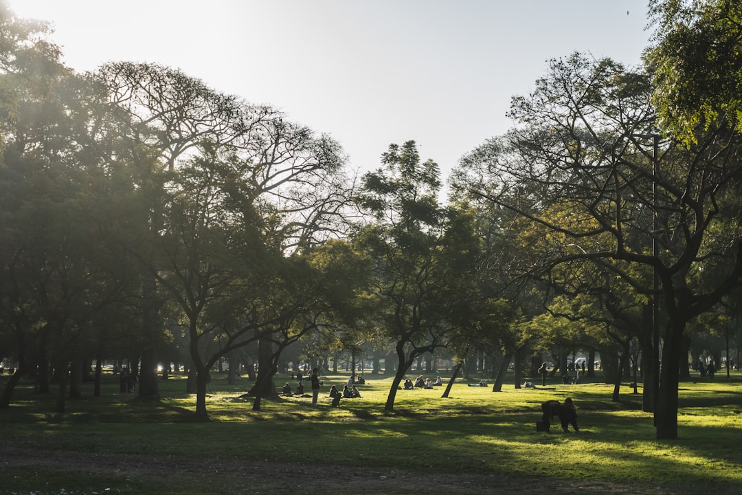 Los parques de Palermo que no podés perderte: donde la ciudad se vuelve verde