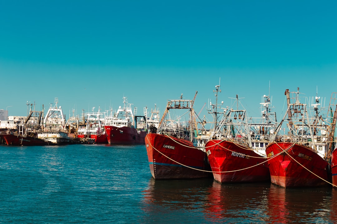 Bucear en Mar del Plata: Los secretos submarinos que pocos argentinos conocen