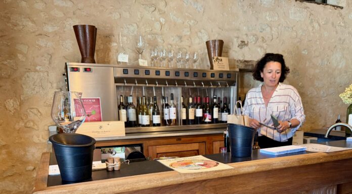 Los vinos rebeldes de Burdeos: cuando los enólogos dicen basta a las reglas tradicionales