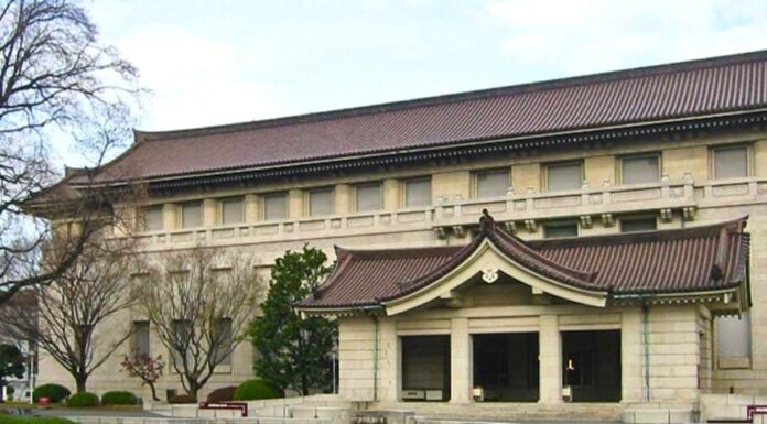 Los museos de Tokio que te van a transportar a otro mundo (y no son los típicos)