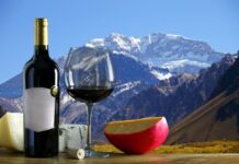 Mendoza en copa: por qué las bodegas mendocinas son la experiencia de enoturismo que te está faltando