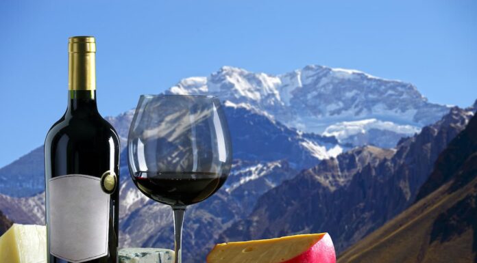 Mendoza en copa: por qué las bodegas mendocinas son la experiencia de enoturismo que te está faltando