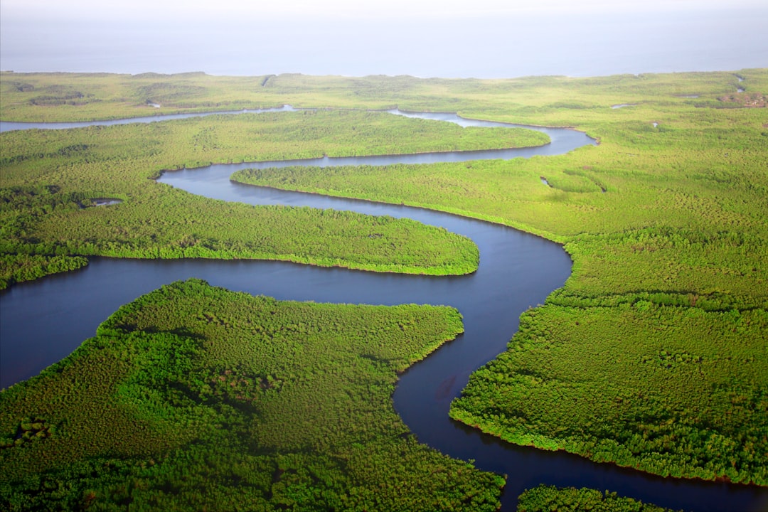 Paraná, Entre Ríos: La ciudad donde el río te llama para la aventura pesquera que siempre soñaste